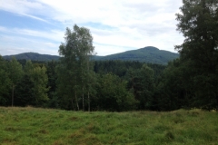 0094 8-8 view