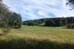 0095 8-8 view