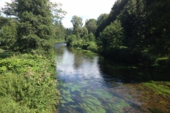 0116 9-8 River