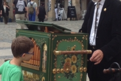 0135 10-8 organist