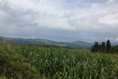 0161 11-8 hill view