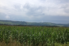 0162 11-8 hill view