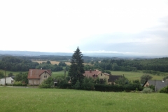 0165 11-8 view