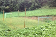 0169 11-8 pitch