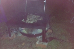 0180 11-8 Barbecue