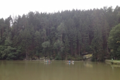 0188 12-8 Rowboats