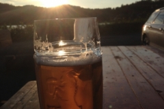 0199 12-8 sunset beer