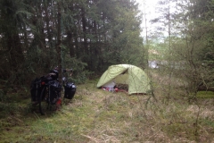 8005 17-4 wild camp