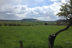 8045 18-4 view