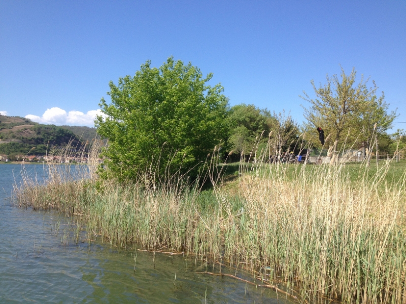 7755 9-4 river view