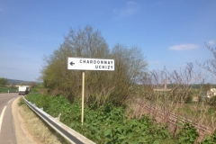 7787 11-4 Chardonnay sign