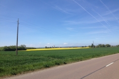 7915 13-4 fields