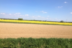 7916 13-4 fields