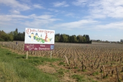 7923 14-4 vineyard Nuit-Saint Georges