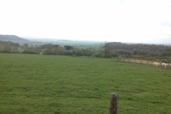7977 16-4 field