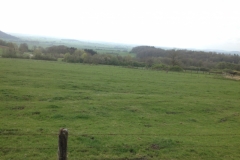 7978 16-4 field