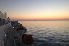 7497 19-3 dawn