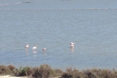 7527 20-3 paddling