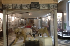 7593 23-3 museum display