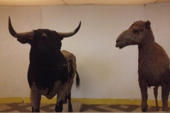 7595 23-3 museum display
