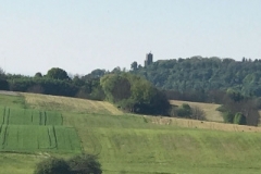 8591 12-5 morning view