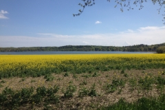 8638 14-5 view