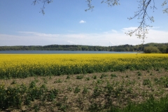 8639 14-5 view