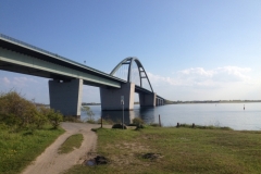 8656 14-5 bridge