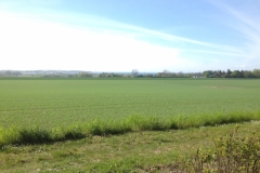 8693 15-5view