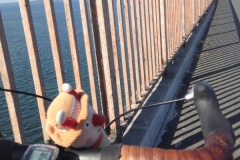 8698 15-5 BtS onbridge