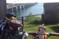 8708 15-5 brian the snail and bridge looking back