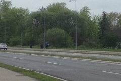 8729 16-5 police search?