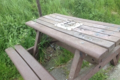 8731 16-5 picnic table with trivet
