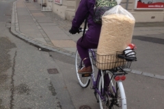 8773 17-5 cyclist Copenhagen