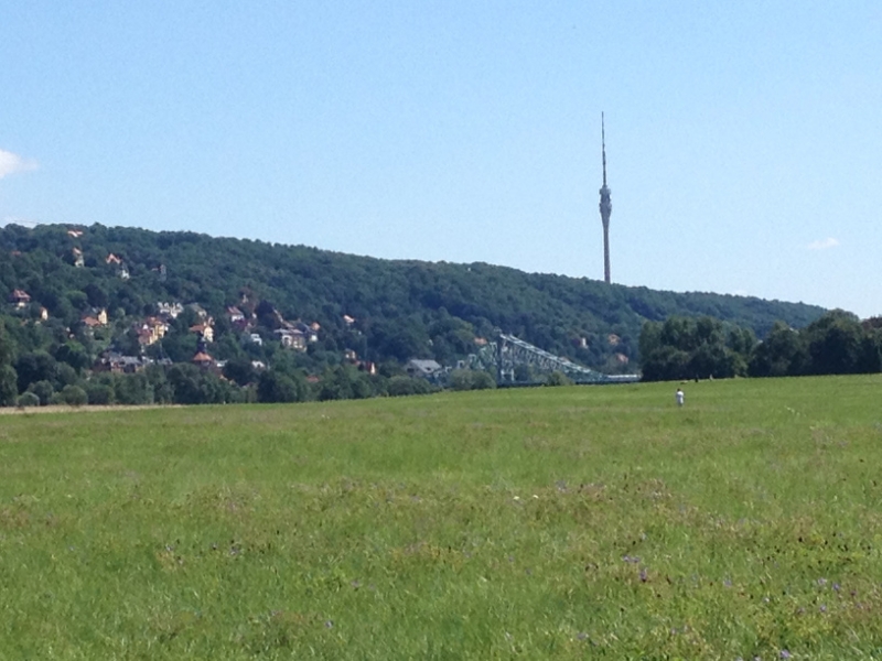 0056 7-8 mast Dresden