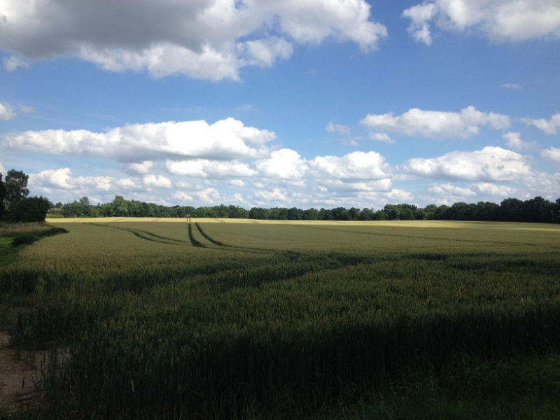 9590  6-7 view