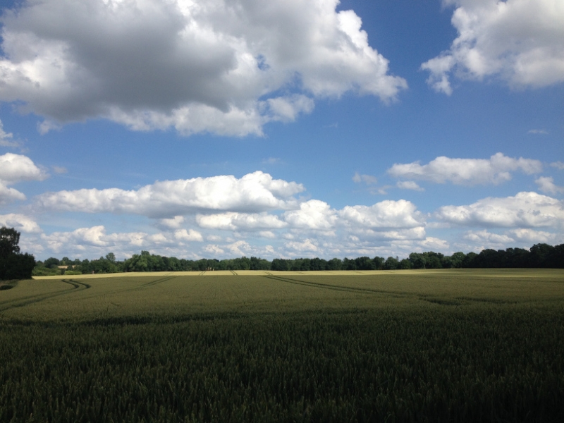 9591  6-7 view