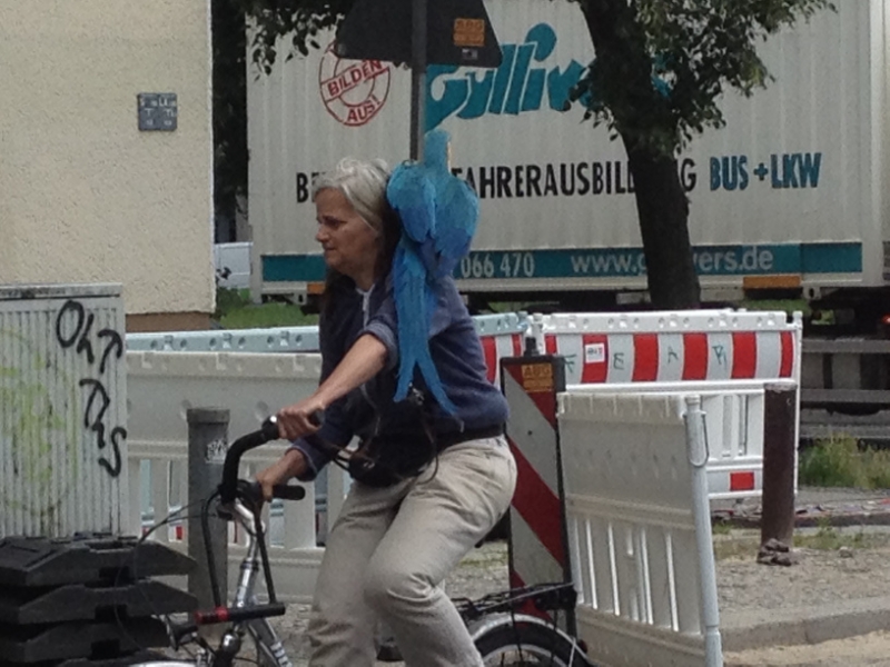 9731 14-7 Parrot ride