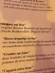 9748 17-7 menu