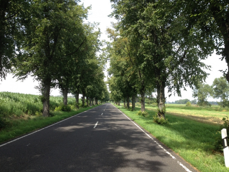 9792 18-7 shady road