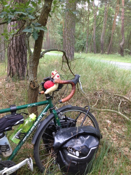 9804 20-7  bike under trees