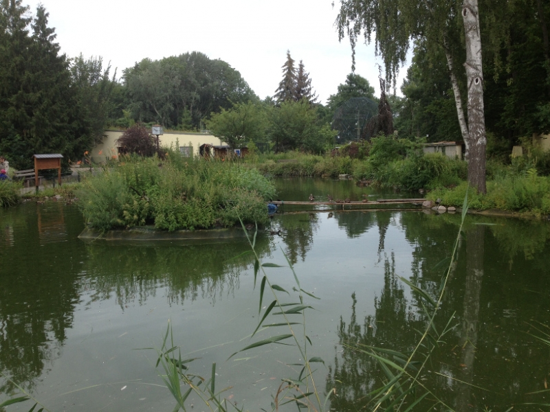 9860 24-7  duck pond