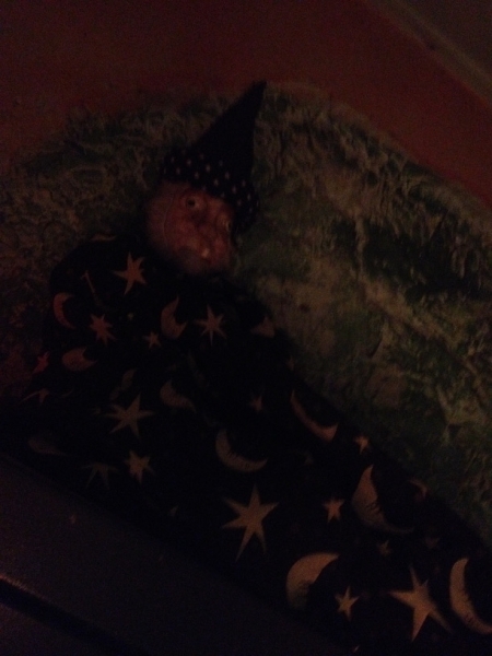 9874 25-7 moon and stars