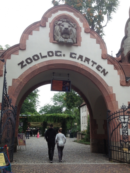 9926 27-7 zoo