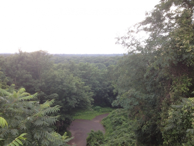 9943 27-7 forest view