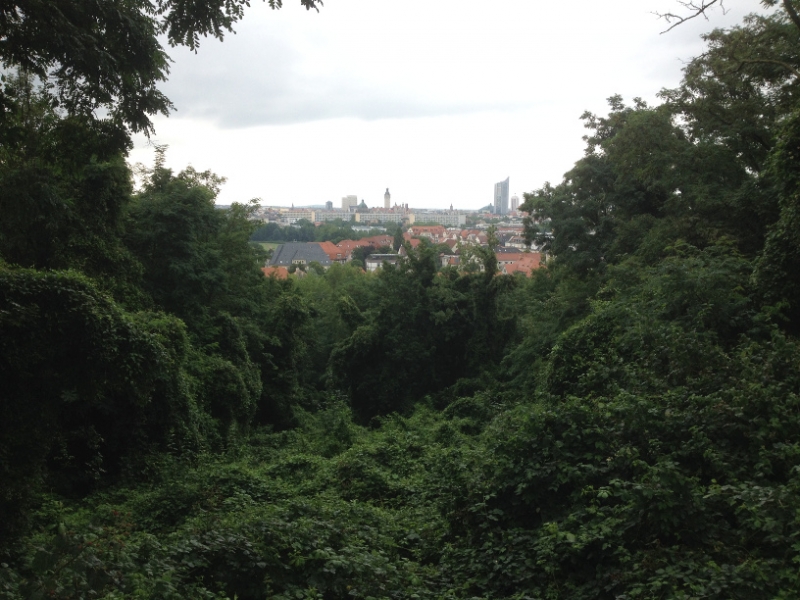 9944 27-7 forest view