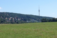 0056 7-8 mast Dresden
