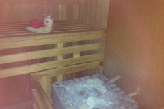 9570  5-7 BtS in sauna