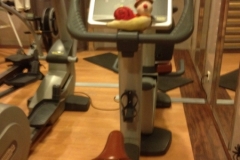 9572  5-7 BtS in gym