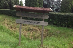 9833 22-7  Hindeburg sign]l